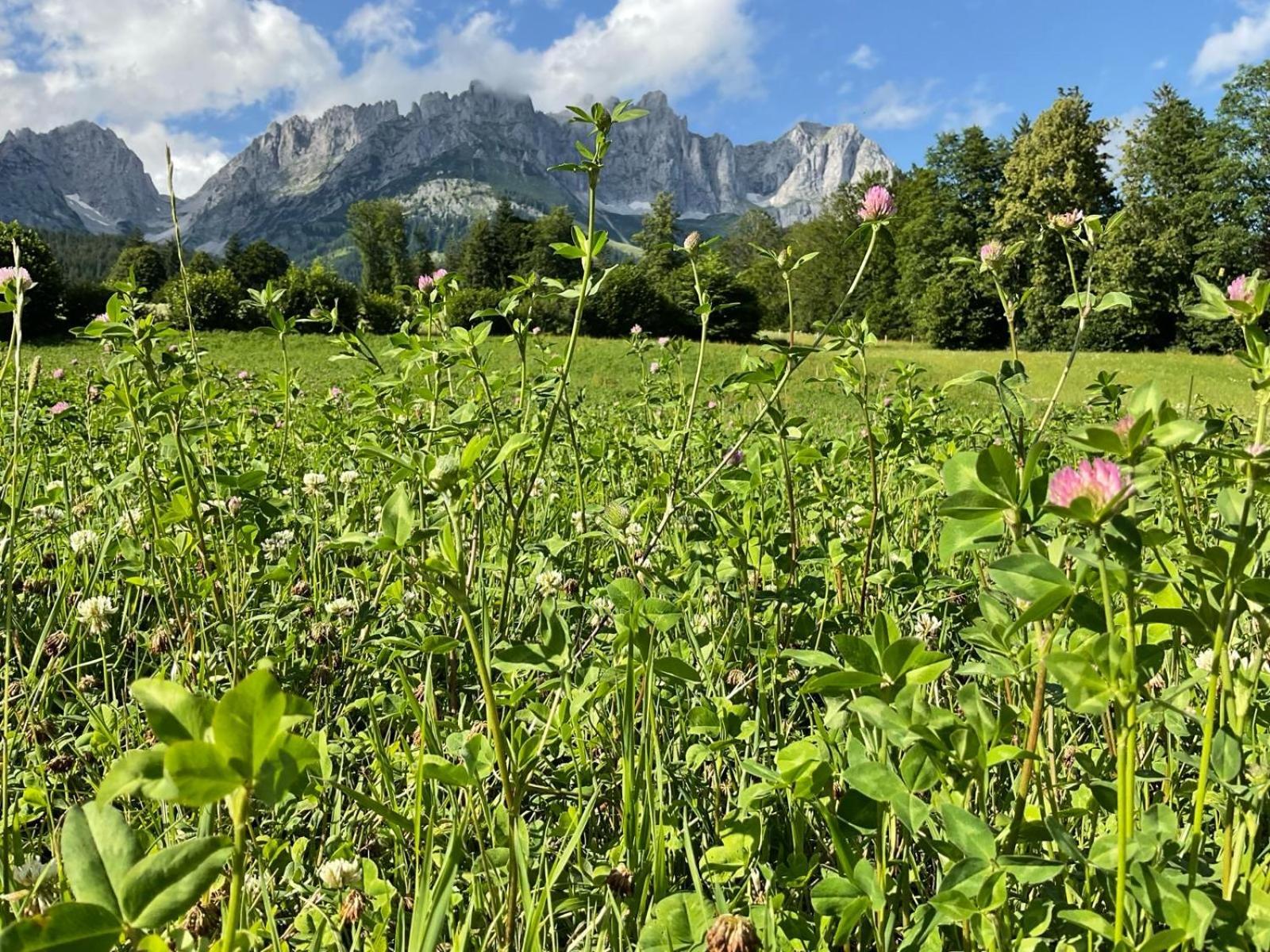 Chalet Belle Kitz By Belle Stay Kitzbühel Buitenkant foto
